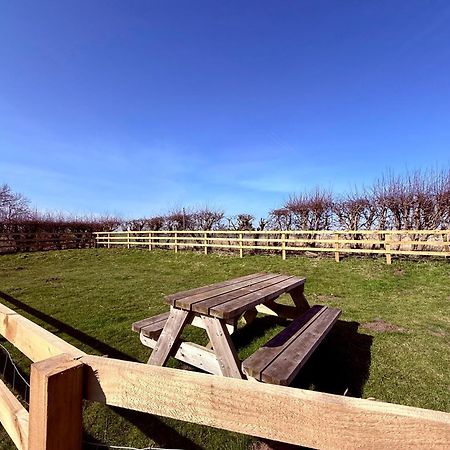 Pond Cottage Alnwick Dış mekan fotoğraf